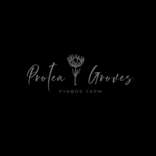 protea groves